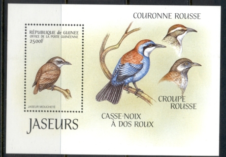 Guinee-1999-Birds-MS-MUH