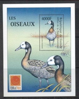 Guinee-2001-Birds-2
