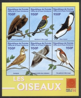 Guinee-2001-Birds-3