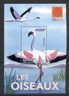 Guinee-2001-Birds