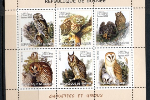 Guinee-2002-Birds