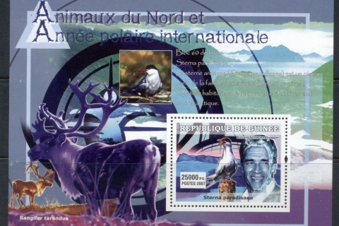 Guinee-2007-International-Polar-Year_2