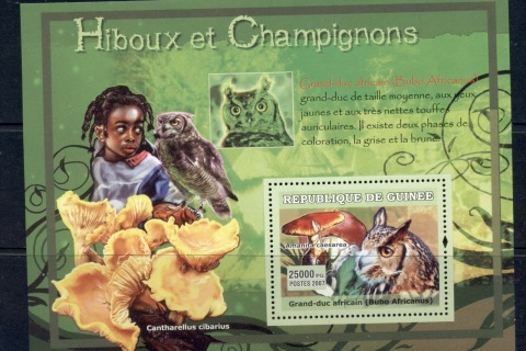 Guinee-2007-Owls_2