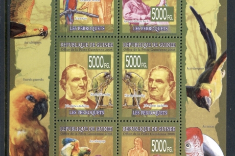 Guinee-2008-Birds