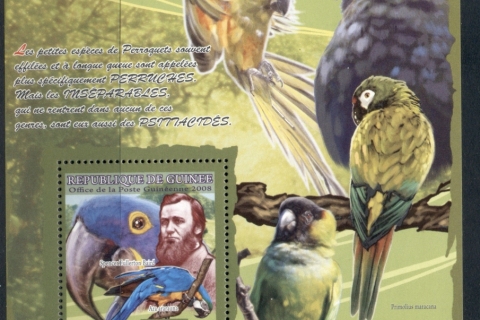 Guinee-2008-Birds_1