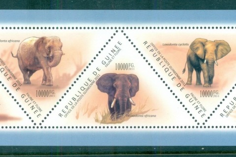 Guinee-2011-African-Wildlife