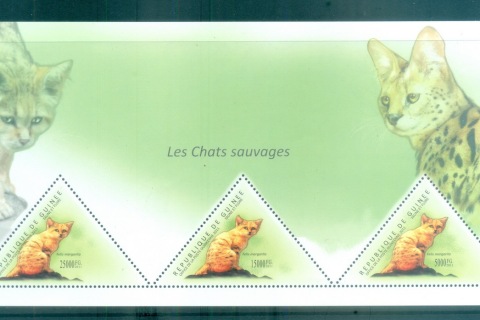 Guinee-2011-Animals_7