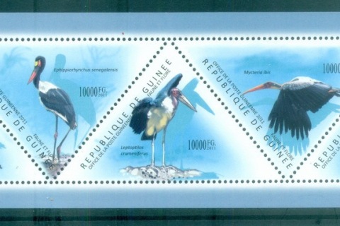 Guinee-2011-Bird_2