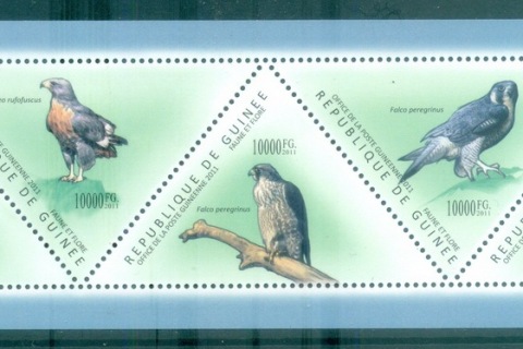 Guinee-2011-Birds-of-Prey_2