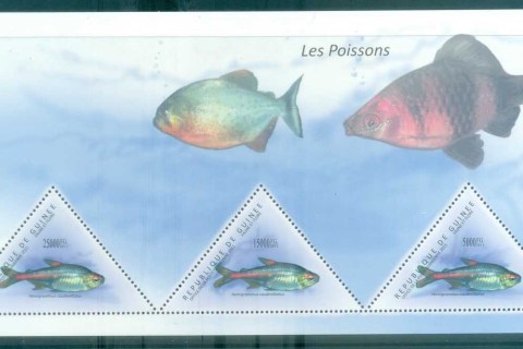 Guinee-2011-Fish_2