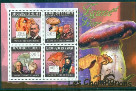 Guinee-2011-Funghi_1