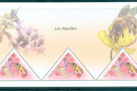 Guinee-2011-Insects_2