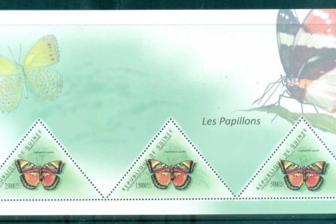 Guinee-2011-Insects_3