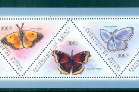 Guinee-2011-Insects_4