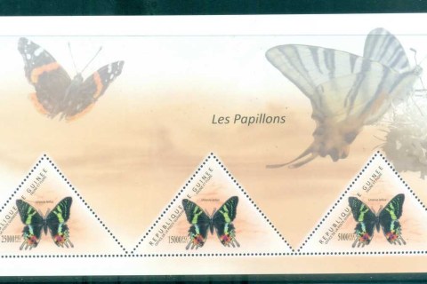 Guinee-2011-Insects_5