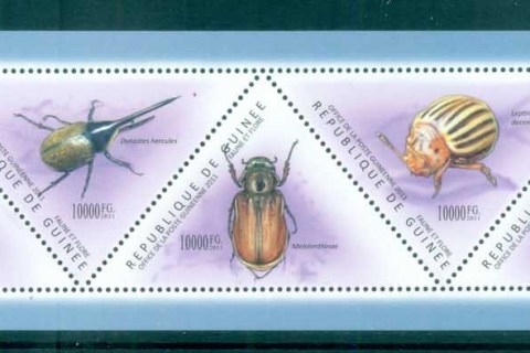 Guinee-2011-Insects_6