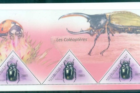 Guinee-2011-Insects_7