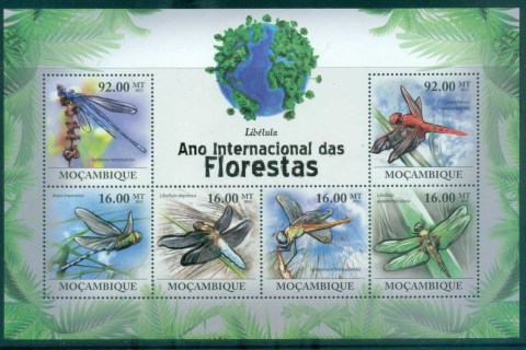 Guinee-2011-Insects_8