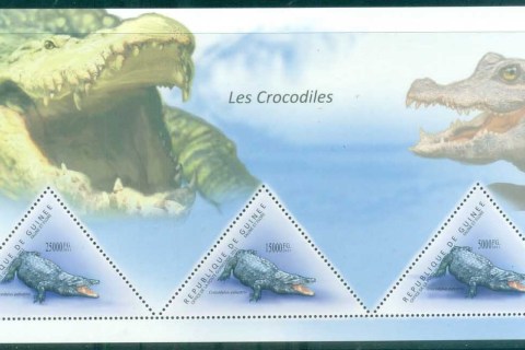Guinee-2011-Reptiles_3