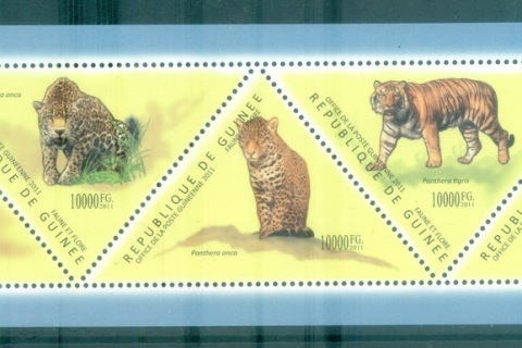 Guinee-2011-Wildlife_13