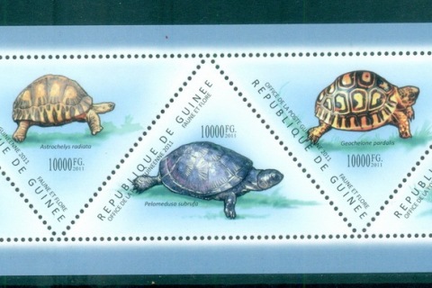 Guinee-2011-Wildlife_14