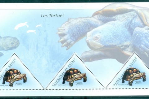 Guinee-2011-Wildlife_15