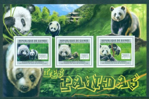 Guinee-2011-Wildlife_4 panda