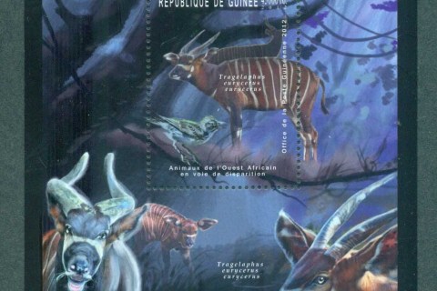 Guinee-2012-African-Wildlife