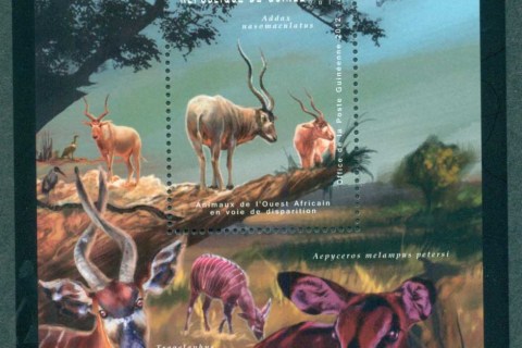 Guinee-2012-African-Wildlife_1