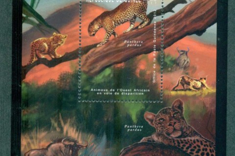 Guinee-2012-African-Wildlife_2