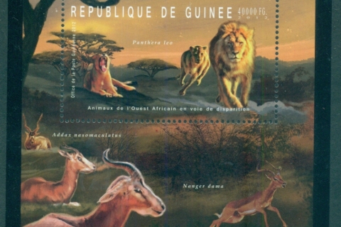 Guinee-2012-African-Wildlife_7