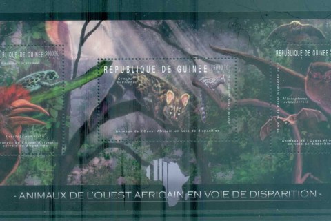 Guinee-2012-Wildlife_13