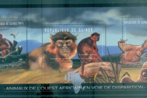 Guinee-2012-Wildlife_14