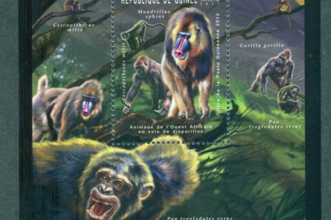 Guinee-2012-Wildlife_2