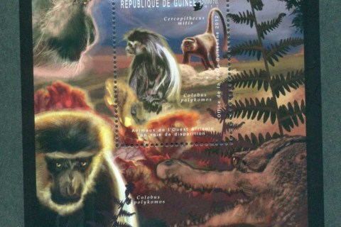 Guinee-2012-Wildlife_3