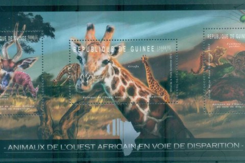 Guinee-2012-Wildlife_4