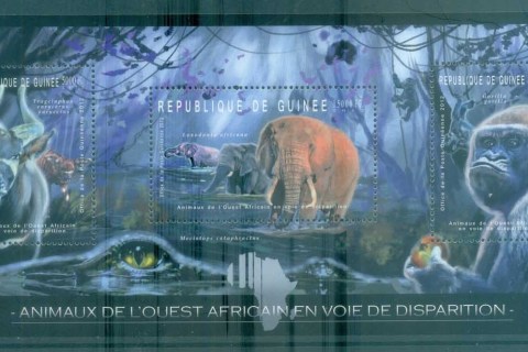 Guinee-2012-Wildlife_5