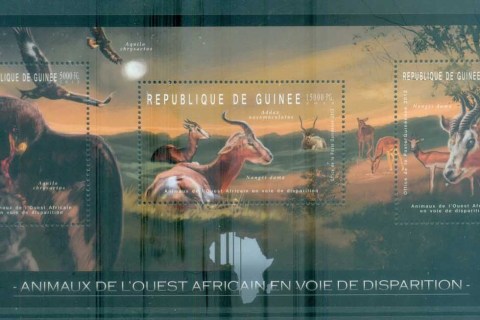 Guinee-2012-Wildlife_9