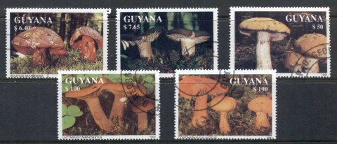 Guyana-1991-Funghi-CTO