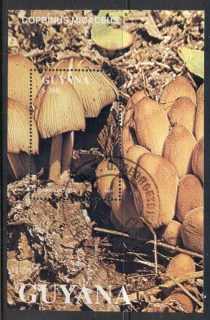 Guyana-1991-Funghi-MS-CTO