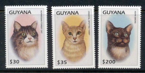 Guyana-1997-Cats-MUH