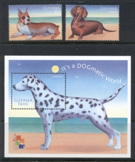 Guyana-2001-Dogs-35