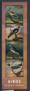 Guyana-2013-Birds-of-South-America-MS-MUH