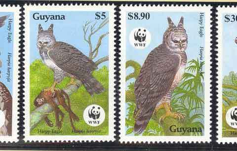 Guyana-1990-WWF Harpy Eagle