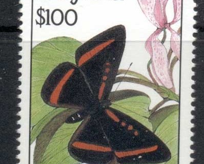 Guyana-1990-Insect_1
