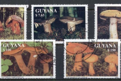 Guyana-1991-Funghi-CTO