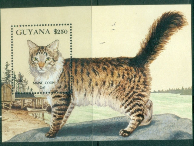Guyana-1992-Cats-MS-MUH_1