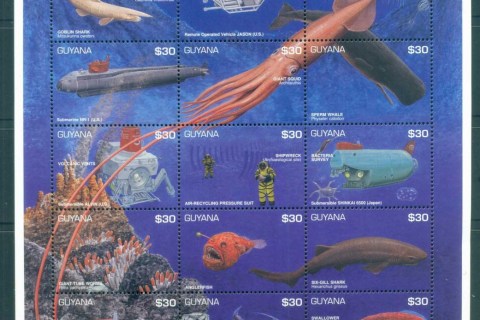 Guyana-1996-Exploring-the-Deep-Oceans-MS-MUH-lot81740