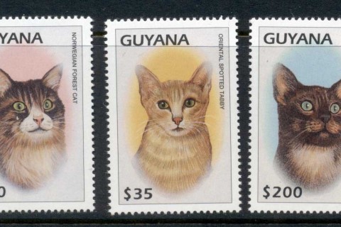 Guyana-1997-Cats-MUH