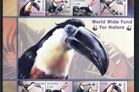 Guyana-2003-WWF-Birds